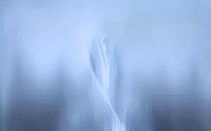 2023年水果批发市场价格视频,三亚新鸿港水果市场水果12月价格