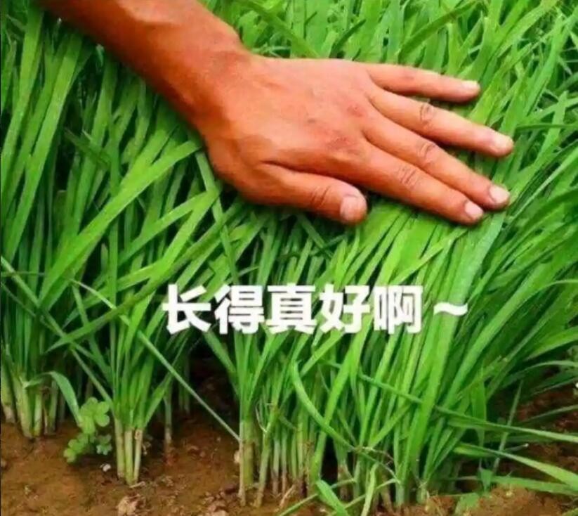 钉钉付费会议,钉钉会议模式开始收费了吗