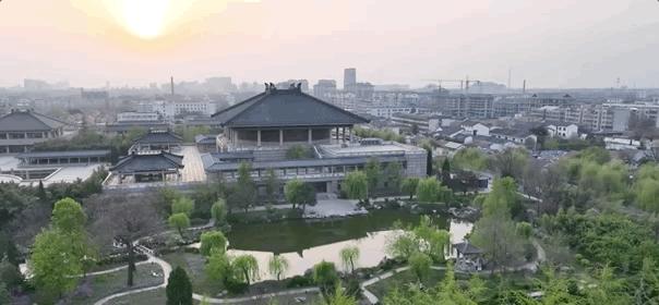 疯狂连更！山东这场持续两个月的直播，观看量超3.7亿