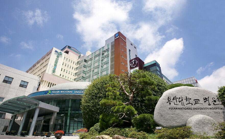 韩国国立大学世界排名,韩国国立大学的医学院