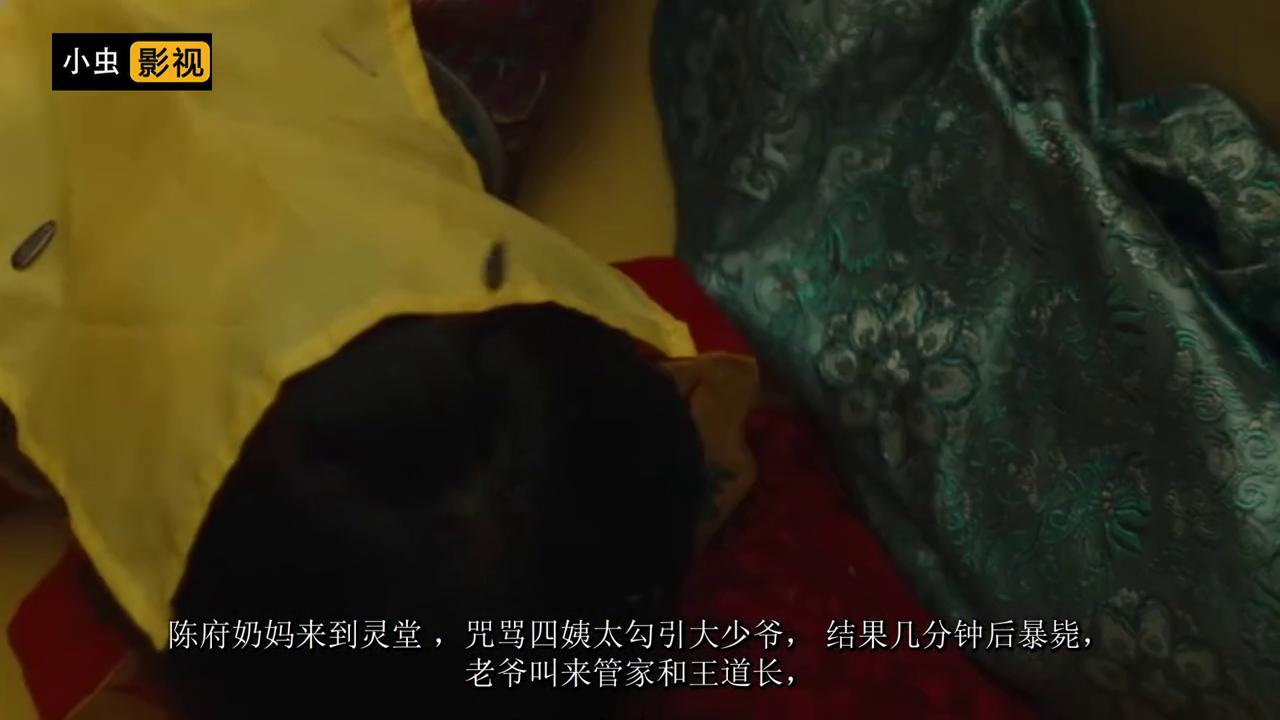 王道长元佑宫,王道长讲解视频完整