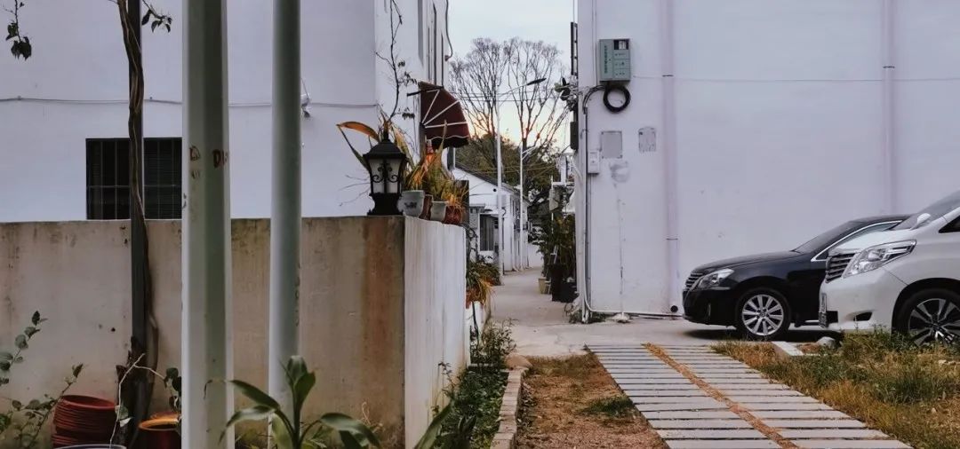 收藏打卡！坪山区原来有这么多地方可以逛，免费又好玩