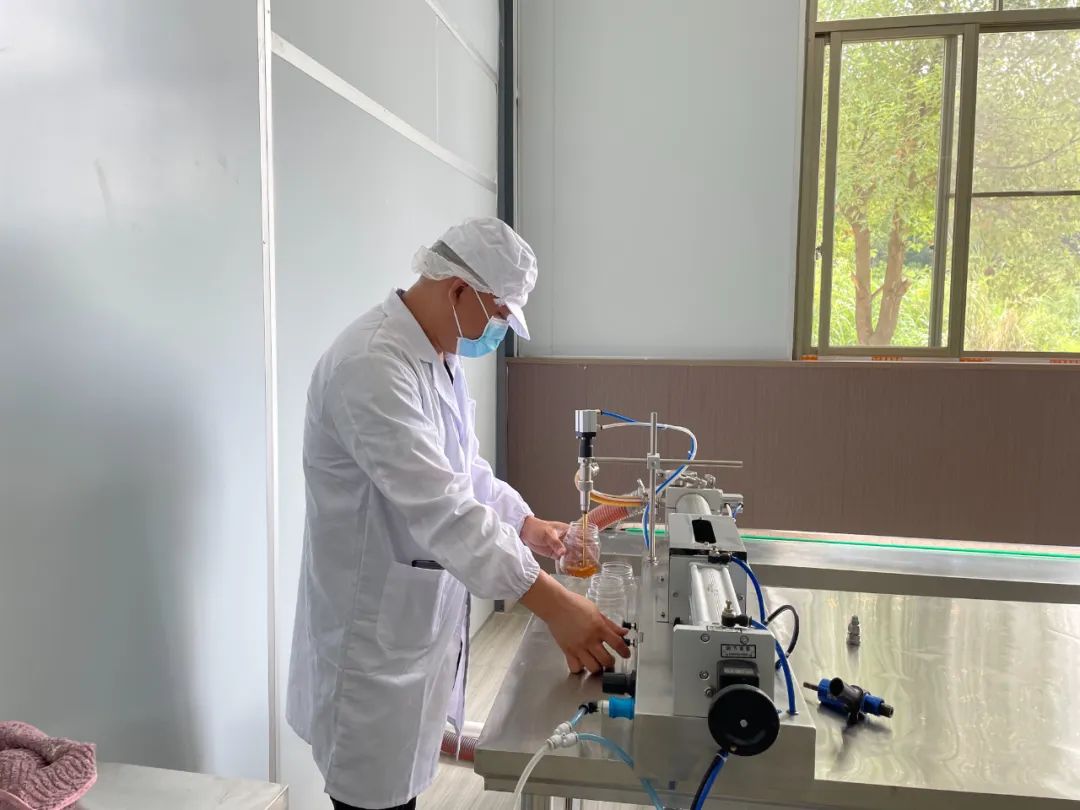 小蜜蜂酿出甜蜜大产业,白沙村小蜜蜂酿出甜蜜大产业