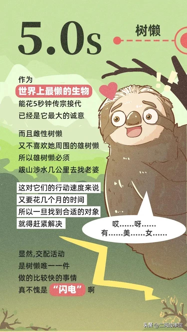 漫画：动物界交配时间轴