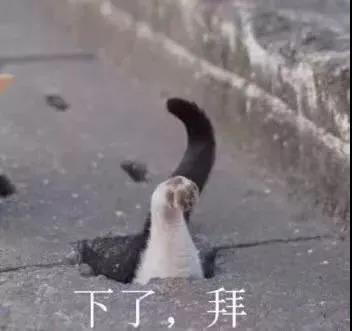 不会吧!不会吧!还有人不知道灵活就业可以这样缴纳五险