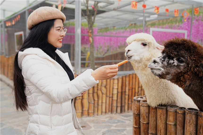 泰顺玉龙山氡泉温泉攻略,隐居山林世外桃源看夕阳