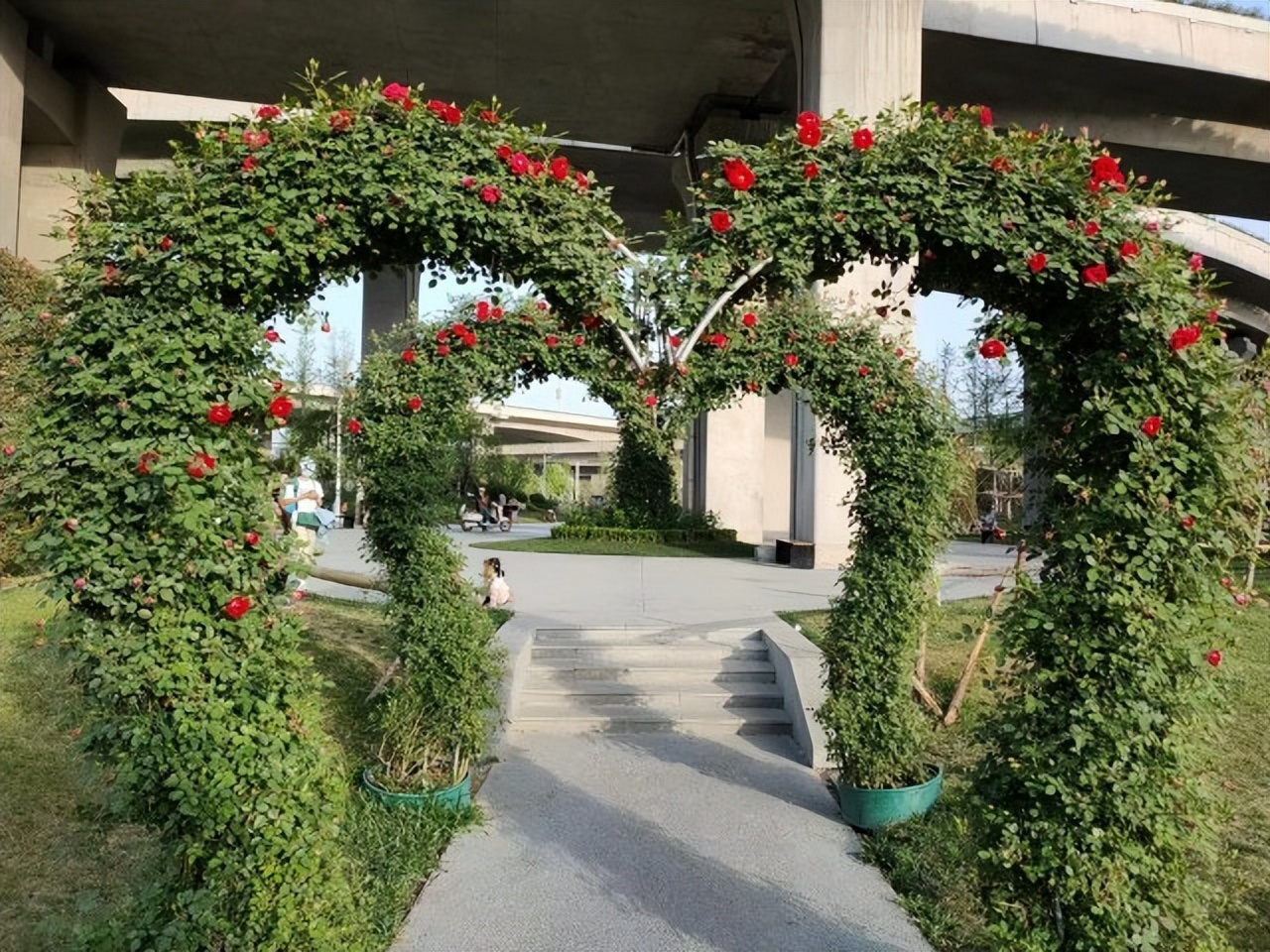 郑州南边最美公园,春天郑州最美公园