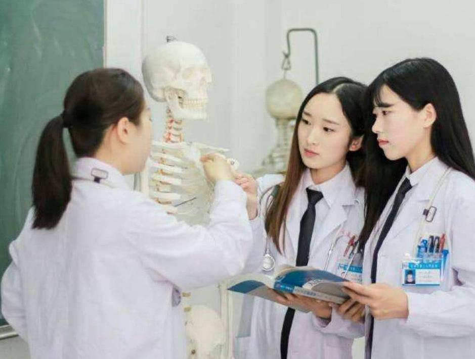 中医药临床医学专业排名,临床中医学专业排名前十的大学