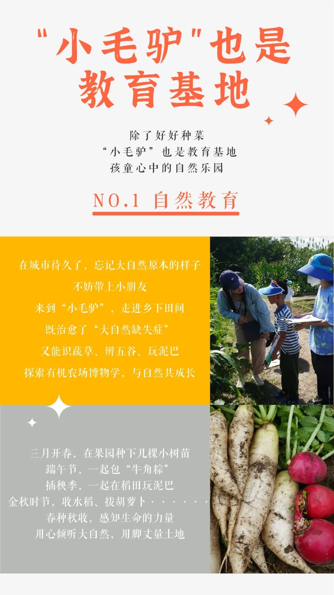 小毛驴农场,小毛驴农业园