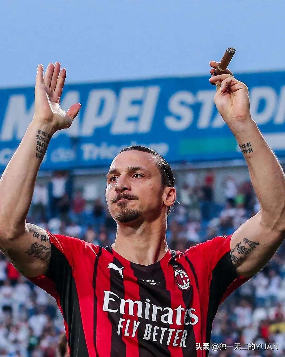 伊布最强一战,伊布战争