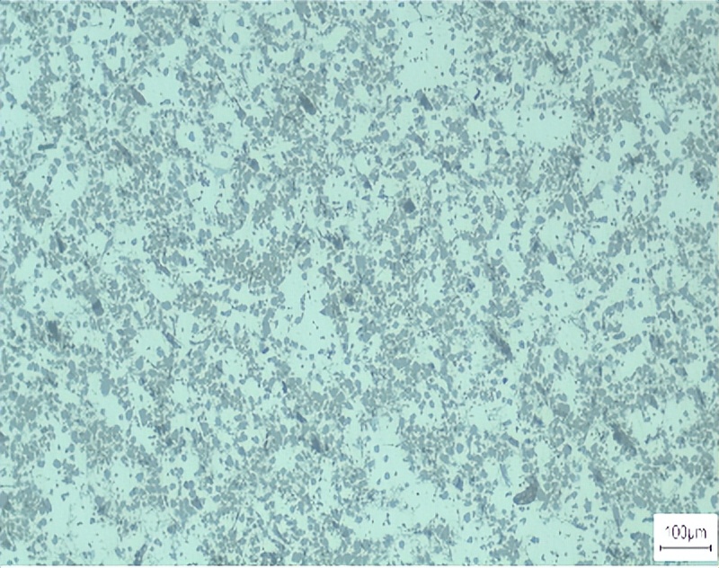 文昌新材徐骏教授：电磁搅拌吸铸技术及其在铝陶复合材料中的应用