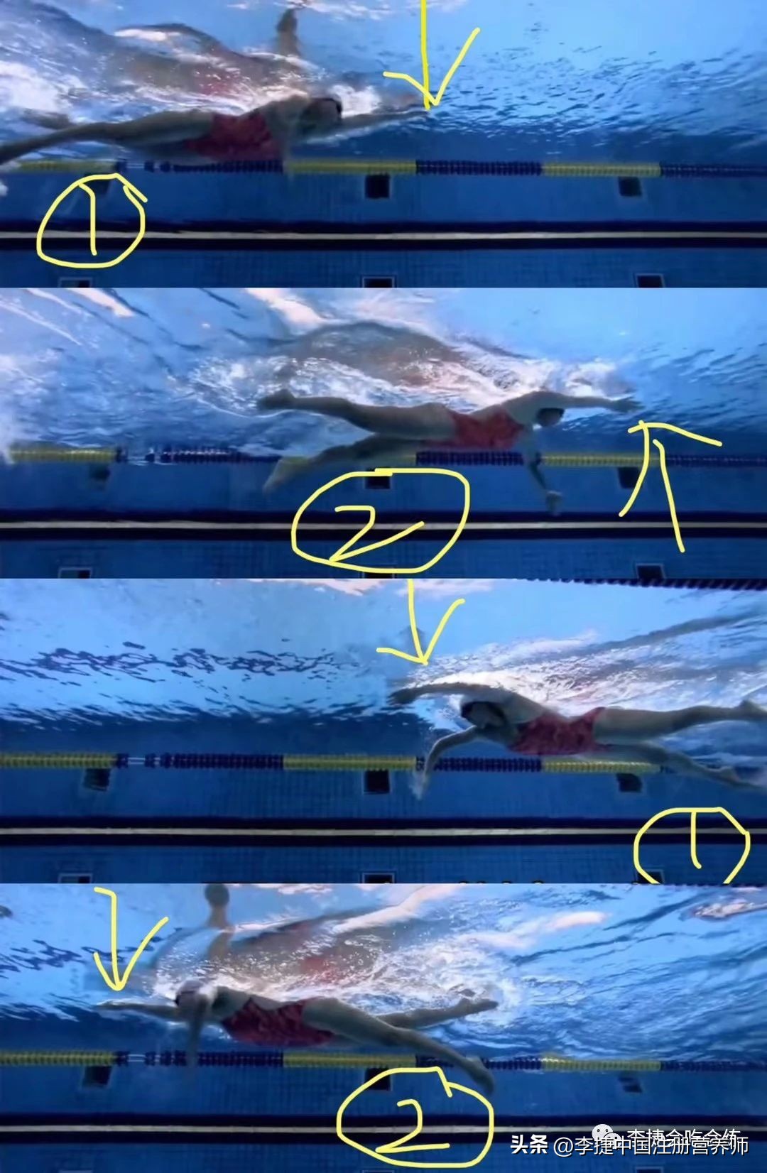 自由泳打腿技巧和练习方法在家,自由泳的打腿训练方法