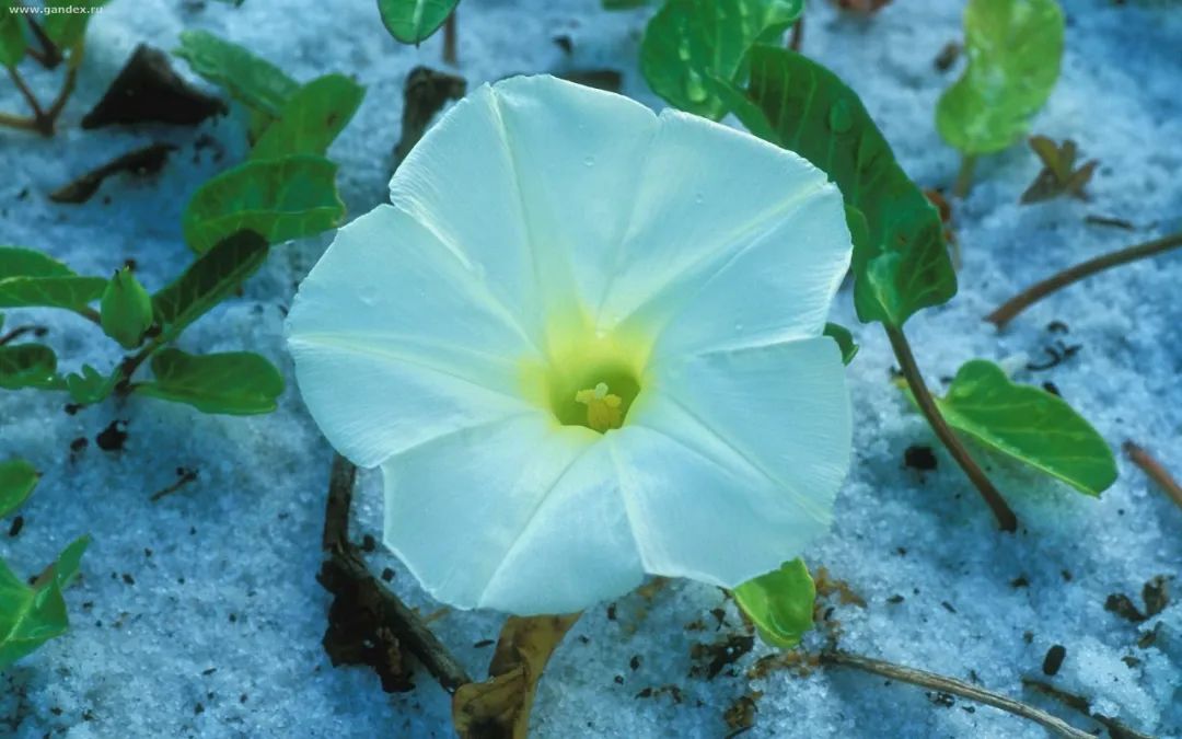 我的自画像作文范文400字,四年级下册我的自画像作文400字