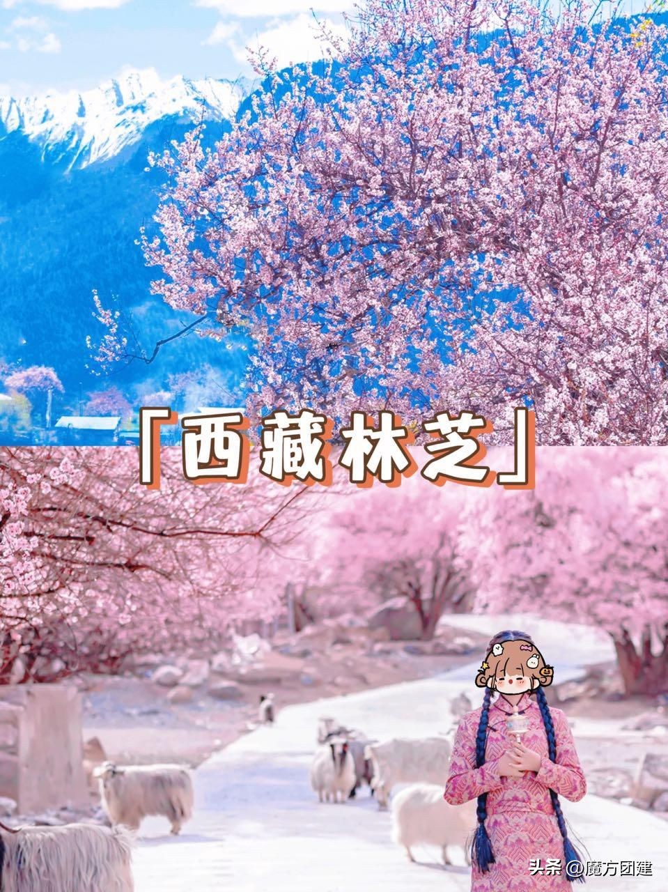 三八节员工团建,三八女神节员工活动方案