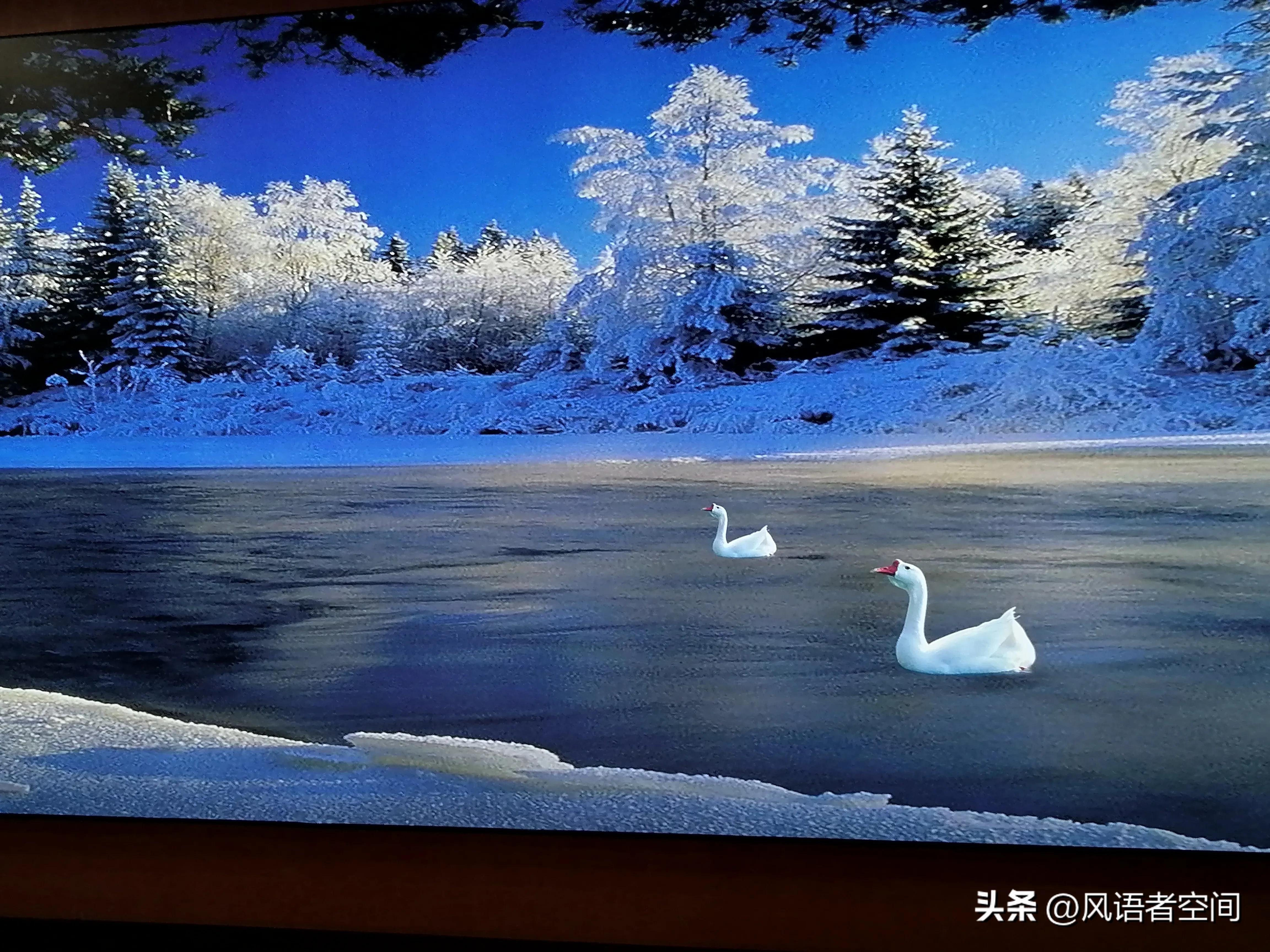 阿根廷新冠什么时候结束,阿根廷新冠消息