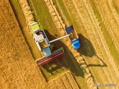 关于十月十五的谚语,农历十月谚语你知道多少呢