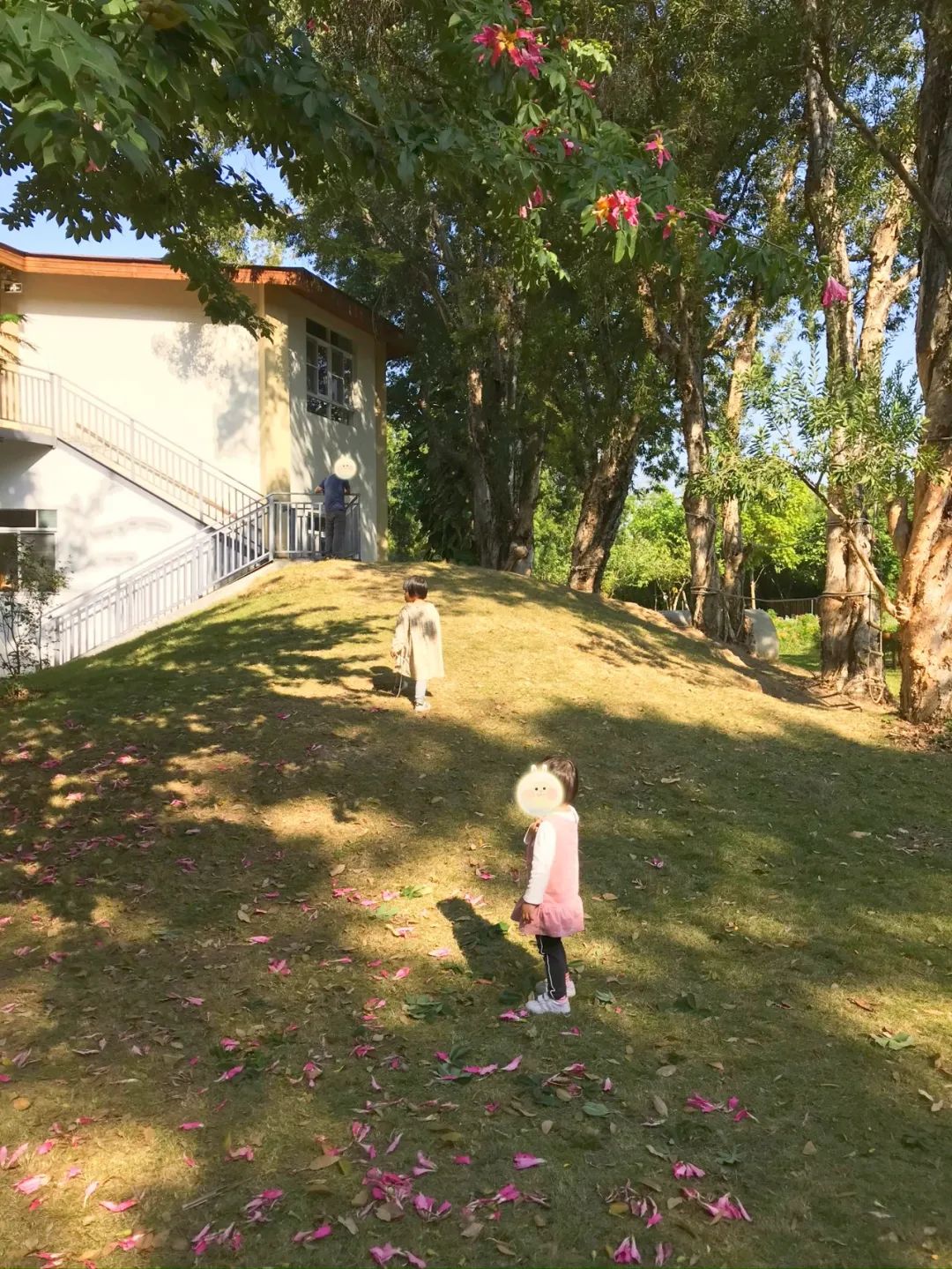 一个有大片绿地、果树、鱼塘、菜地，还有小鸡和鸭子的小岛幼儿园