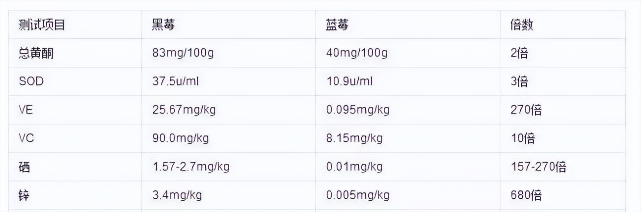 黑莓水果之王,生命之果黑莓