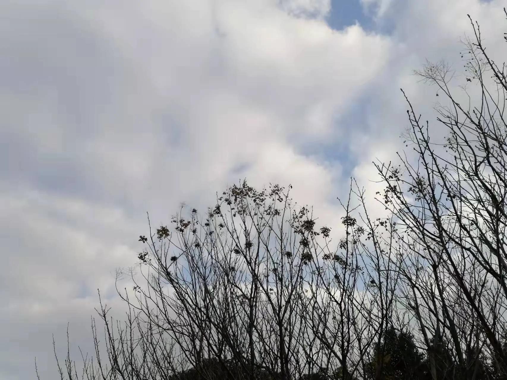 苏州灵隐寺到白马涧的徒步线,苏州白马涧龙池一日游攻略