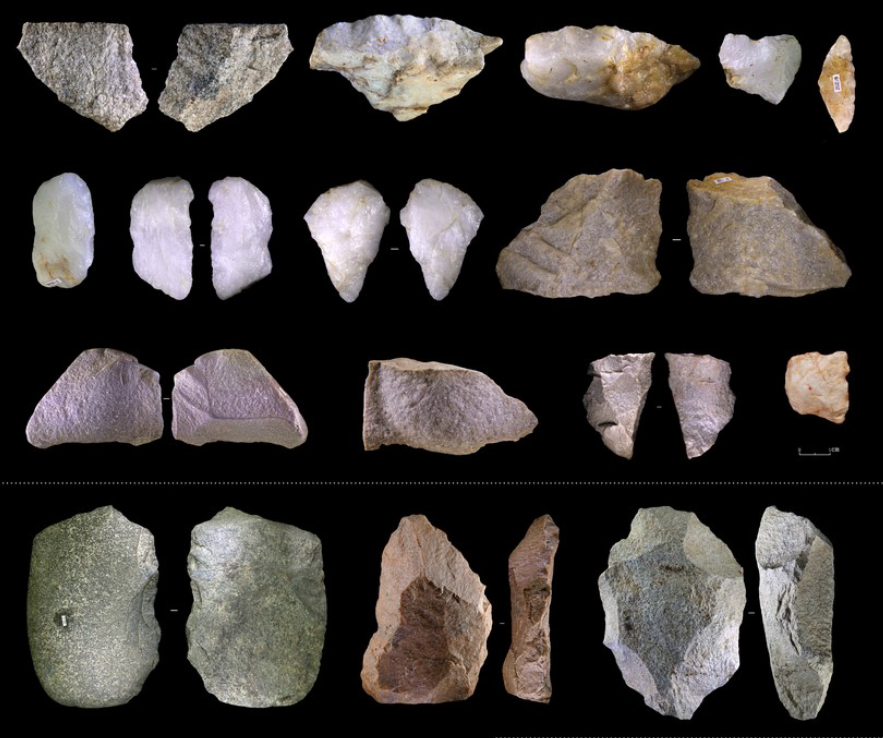 所有动物都会进化,所有的动物都进化吗