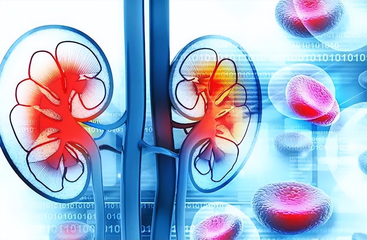 牛肉是不是比较健康,关于牛肉营养价值的说法