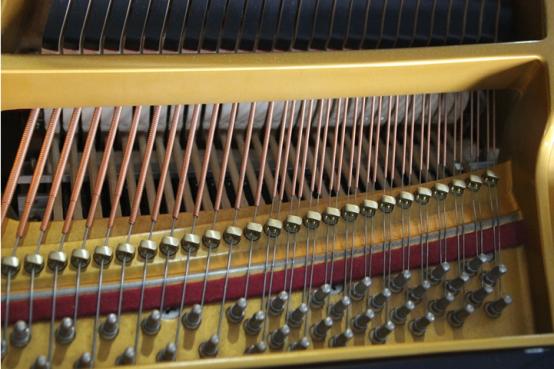 电钢琴能当钢琴用吗,电钢琴能不能取代钢琴