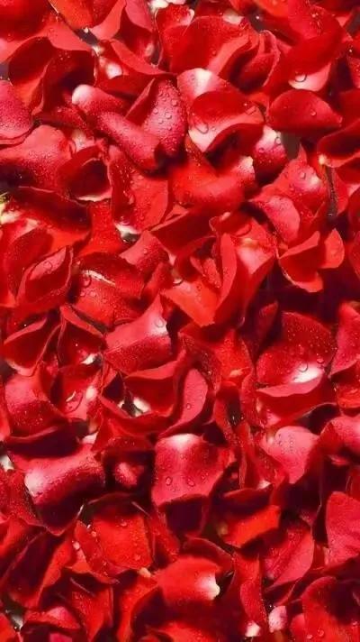 绝美竖屏高清红色喜庆的壁纸,蓝色流光溢彩壁纸高清全屏