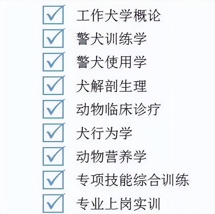 初中毕业学护理专业好就业吗,初中毕业学什么专业好就业前景好