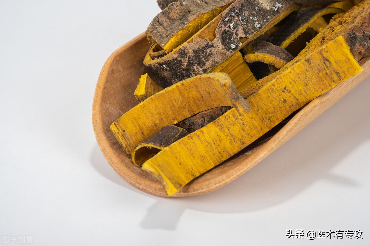 和黄柏同样效果的中药,一味中药黄柏功效与作用