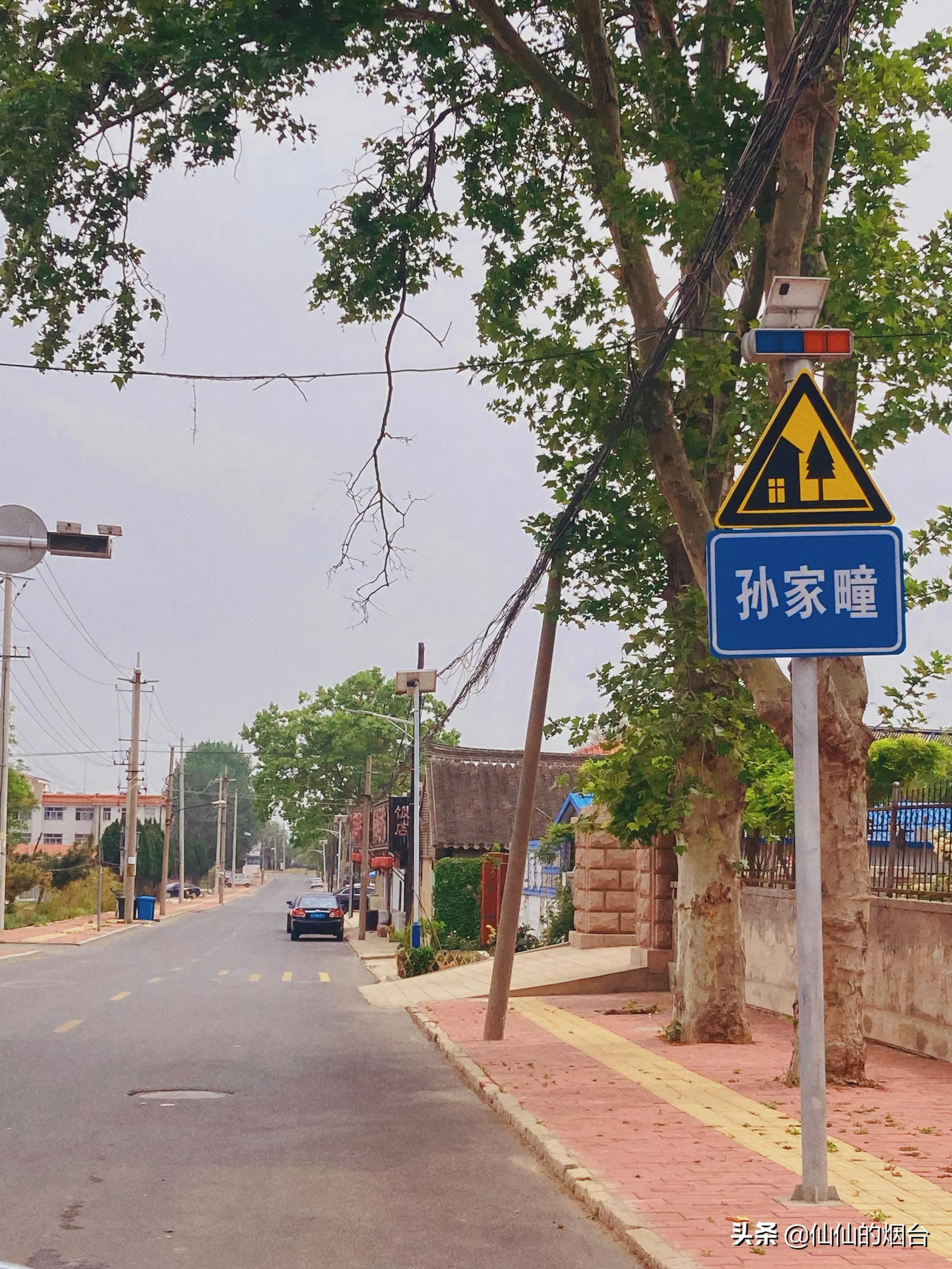 养马岛值得特意跑一趟吗,养马岛最值得看的几个地方