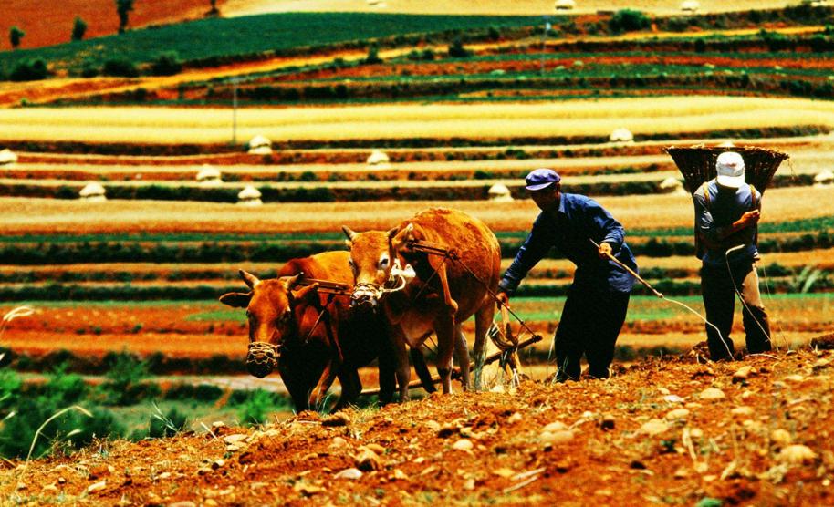 春耕备耕正当时七绝诗歌,春耕时节诗词鉴赏