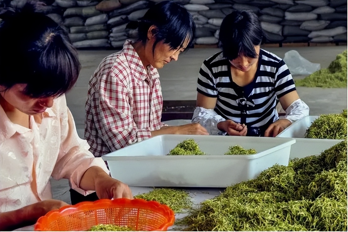 爆卖150亿！中国最穷超市，被福建老乡集体救活了