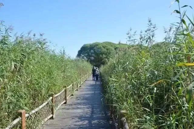 暑假去北京旅游指南攻略大全,暑期北京旅游攻略最新消息