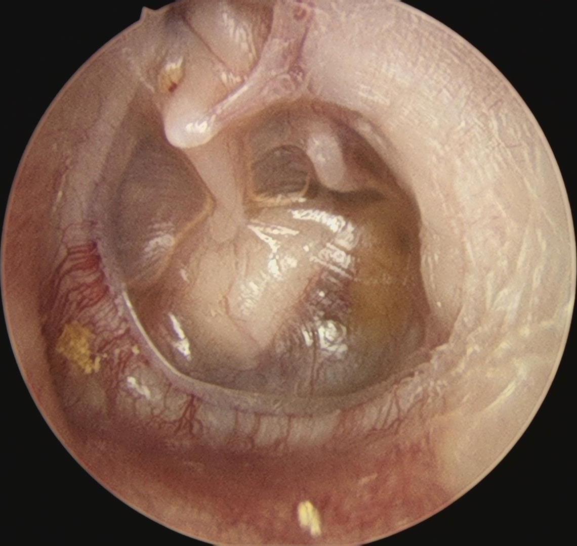 不远万里求医,不远千里寻医