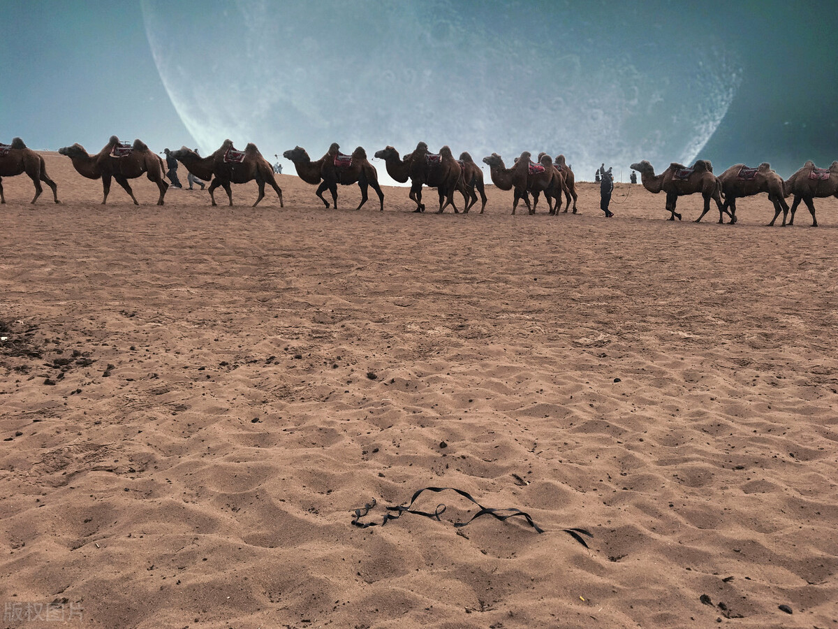 审计专硕能调剂到会计专硕吗,会计和审计研究生区别在哪里