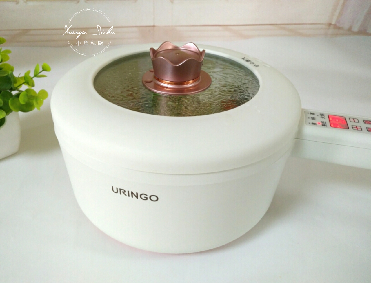 老年人适合饮用高蛋白质的食物吗,中老年人适合吃高蛋白食物有哪些