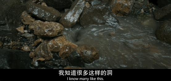 今年最高分了，还在涨