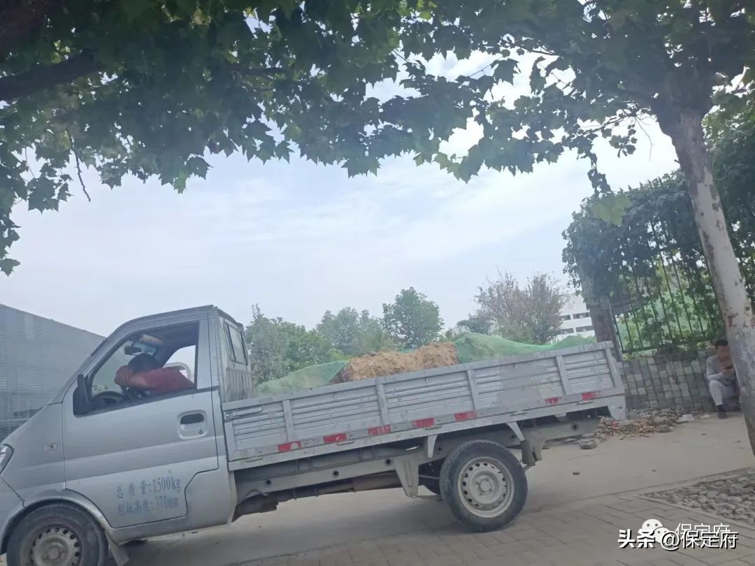 保定建设品质生活之城规划,保定品质之城规划