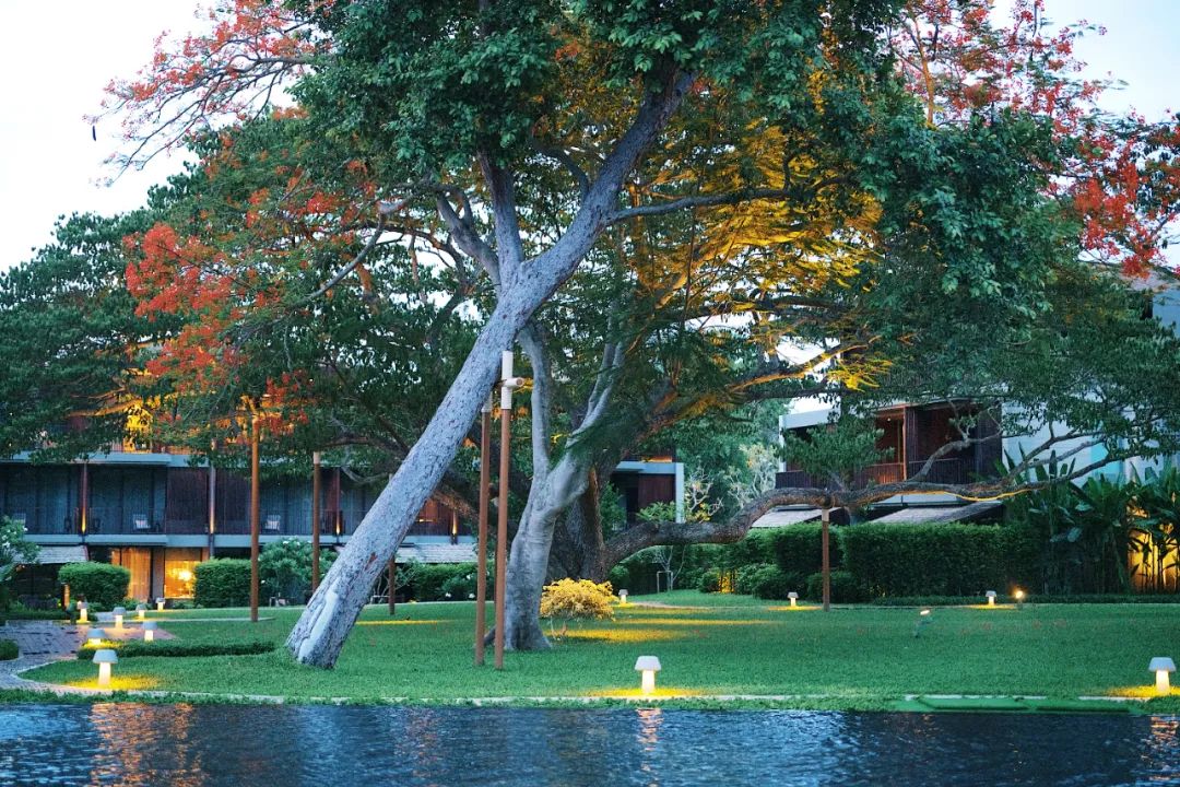 在泰国待了14天,在泰国待了60天