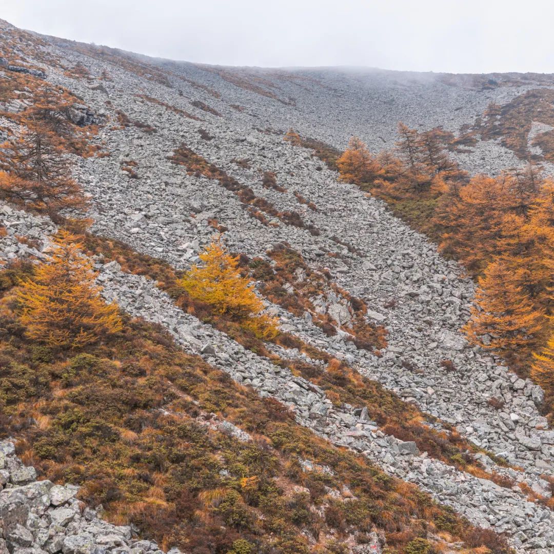 登太白山感受,太白山景区登顶拔仙台