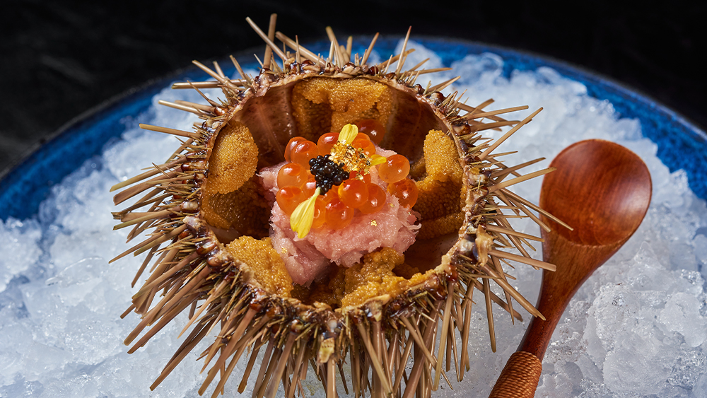 海鲜刺身怎么做才好吃,10种适合在家做的海鲜刺身