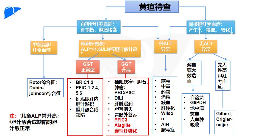 黄疸遗传代谢性疾病,遗传代谢性黄疸怎么治疗