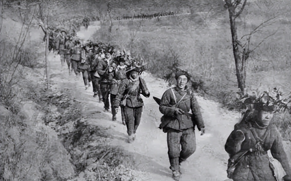 解放军113师简介,解放军113部队