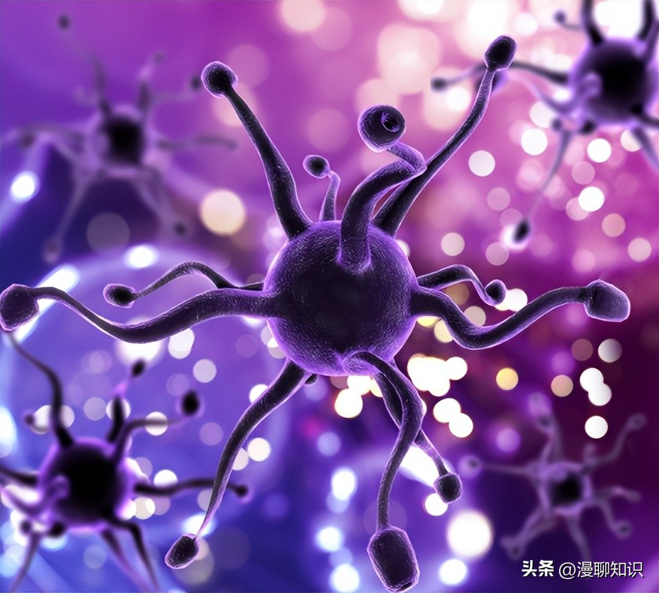 妇阴康洗剂的用途,妇阴康洗剂是抗生素药吗