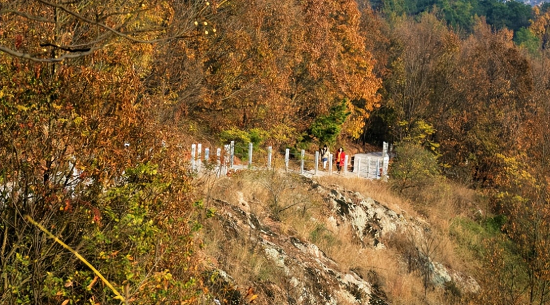 合肥市琥珀小学耿怡：教学教研所感所思
