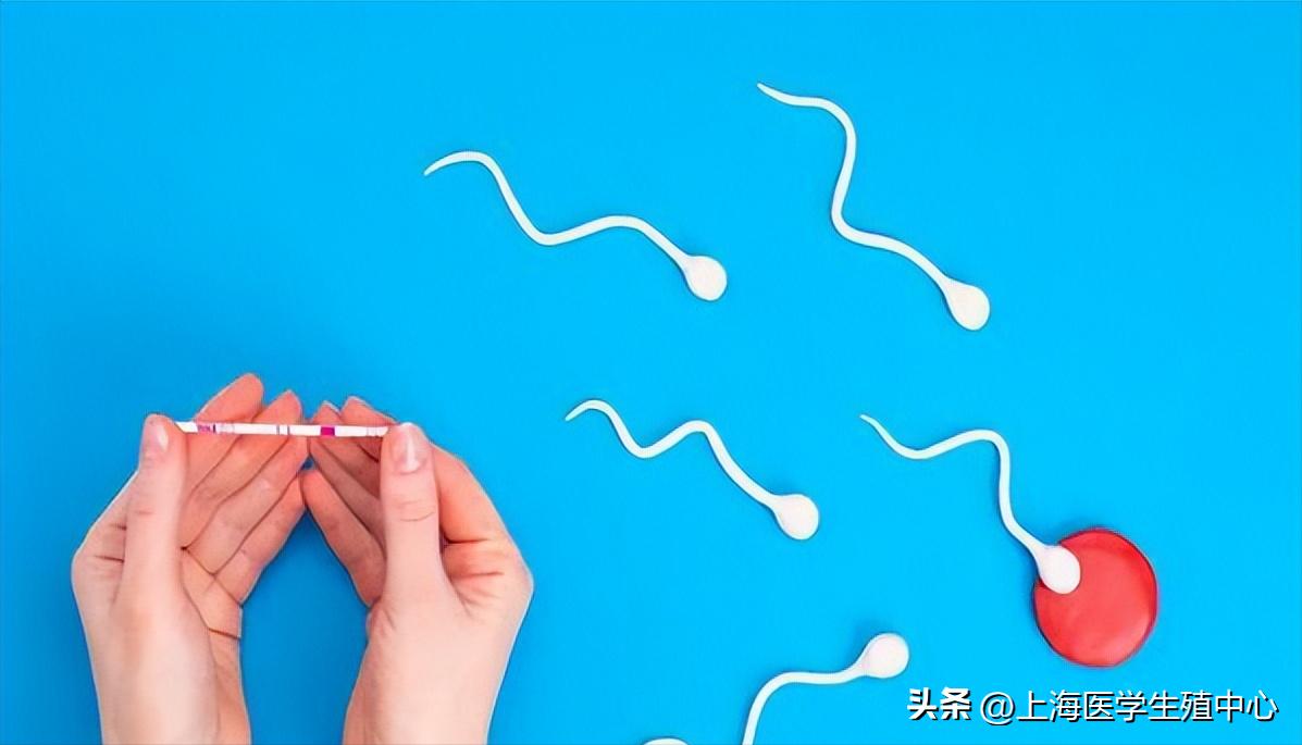 为什么自然排卵怀不上孕,为什么会导致排卵障碍