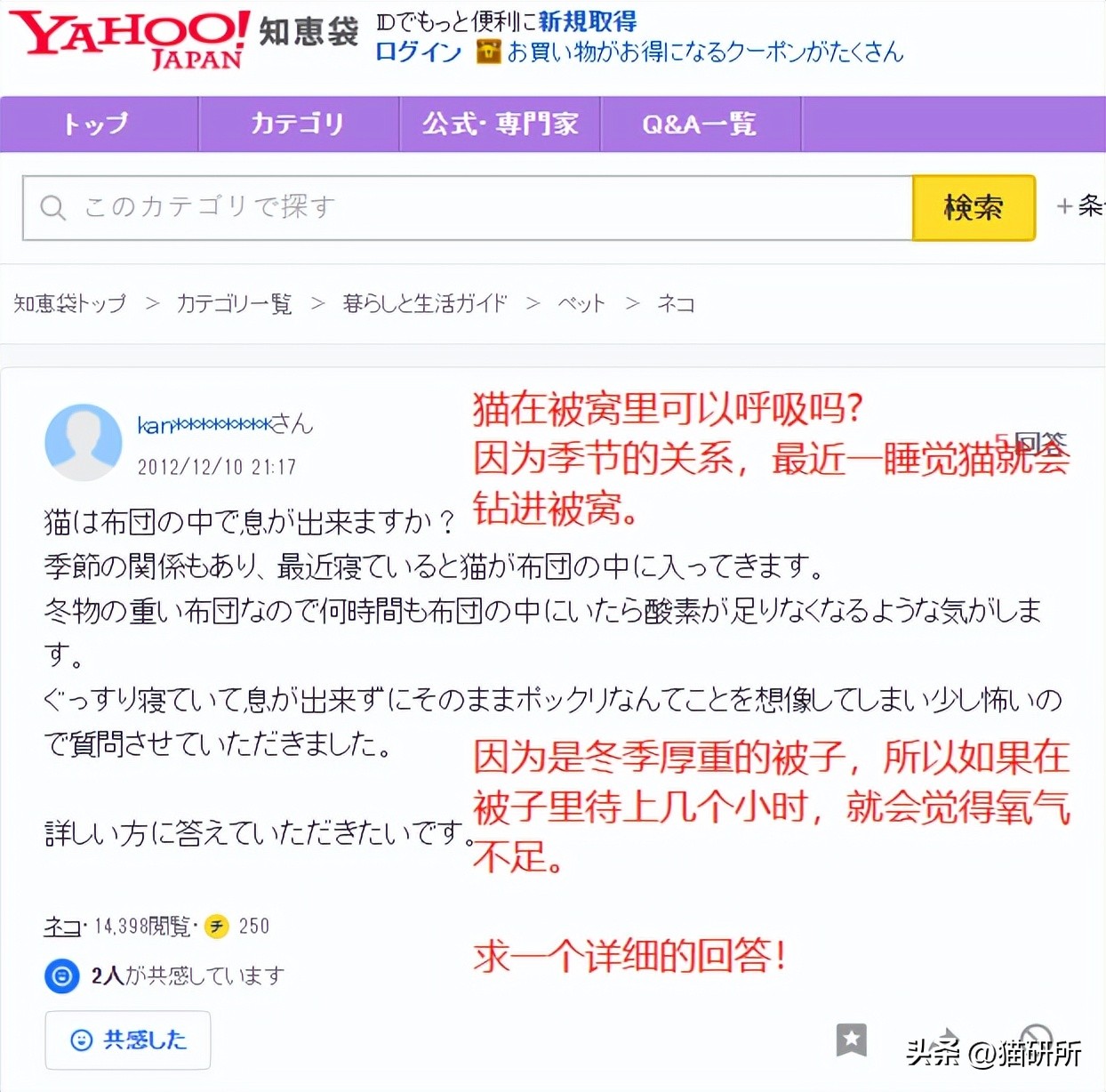 冬天猫咪一直睡觉无精打采,冬天猫咪睡觉会感觉冷吗