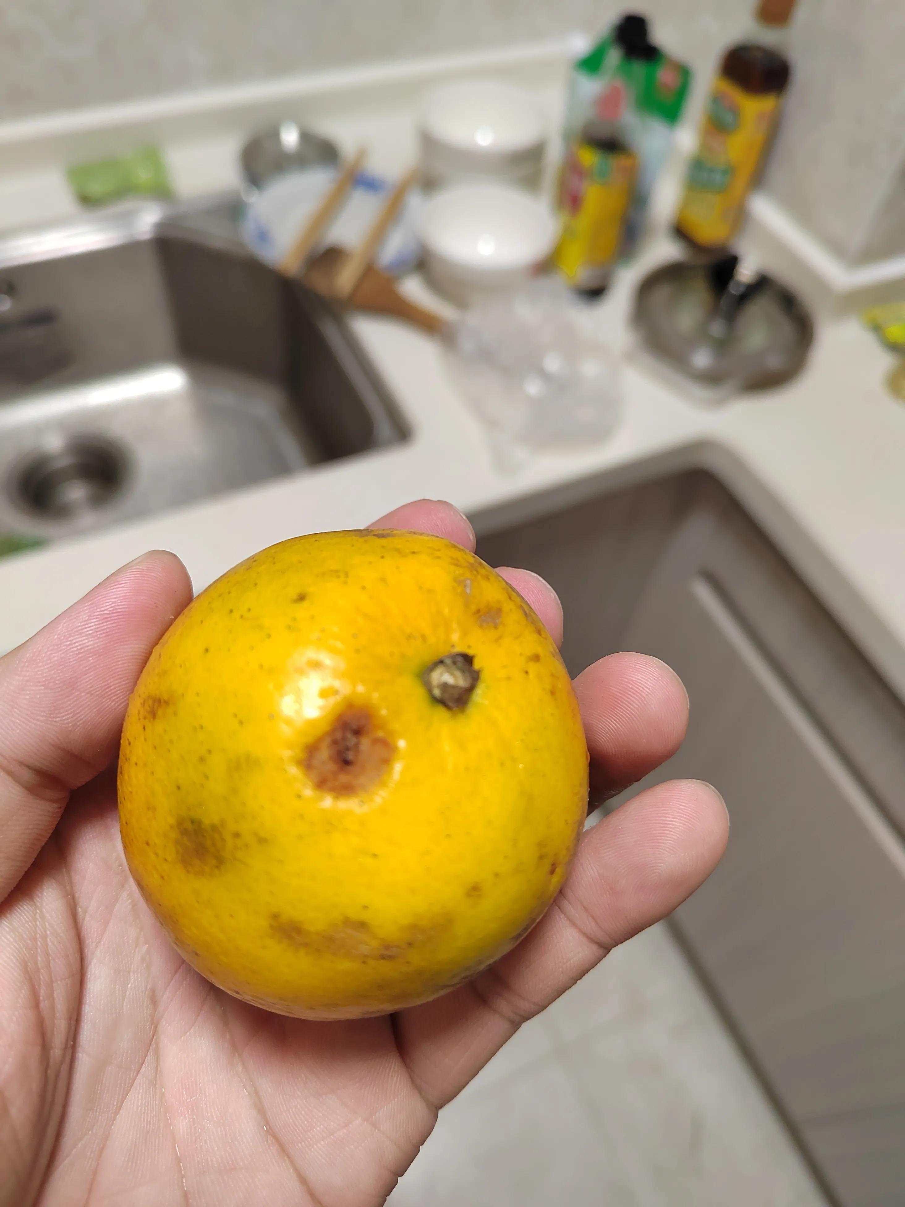 水果买到坏果可以要求10倍赔偿吗,水果坏果赔付真实图片