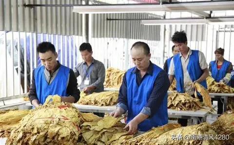 中国邮政进入烟草市场,中国邮政开始卖烟了是真的吗