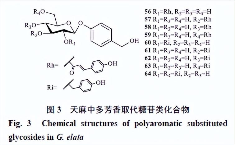 天麻的主要化学成分为什么类,天麻的主要化学成分是什么
